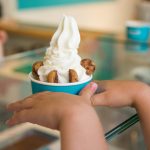 yogurt business