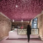 bakery front counter